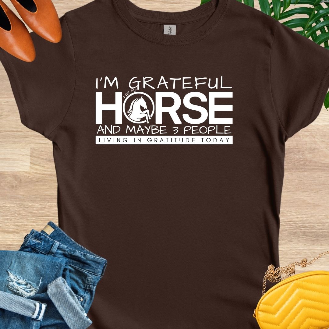 Grateful for My Horse and 3 People T-Shirt