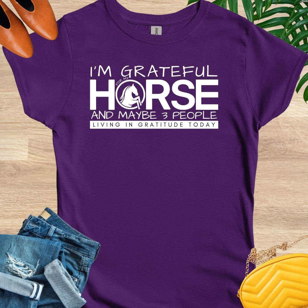 Grateful for My Horse and 3 People T-Shirt