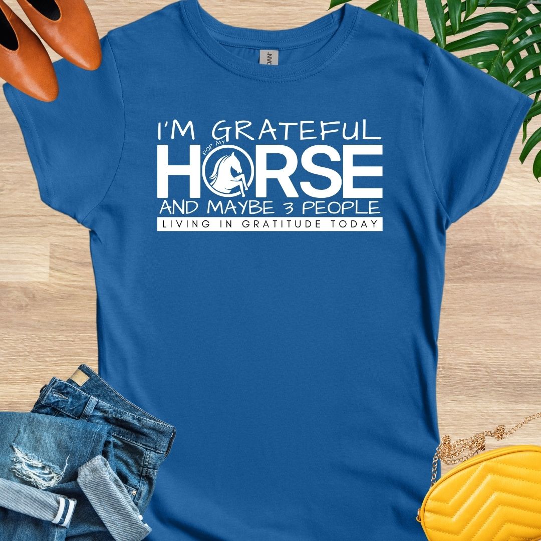 Grateful for My Horse and 3 People T-Shirt